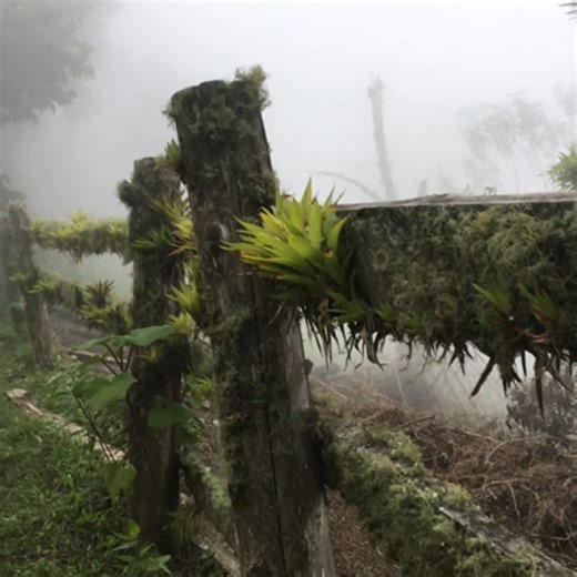 frio de esta época es de lo mejor | Meme Arevalo