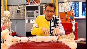 Documentaire | C’est pas sorcier – Squelette : Les sorciers tombent sur un os