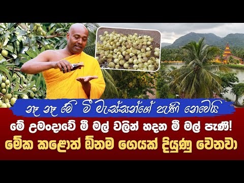 මේක කළොත් ඕනම ගෙයක් දියුණු වෙනවා!