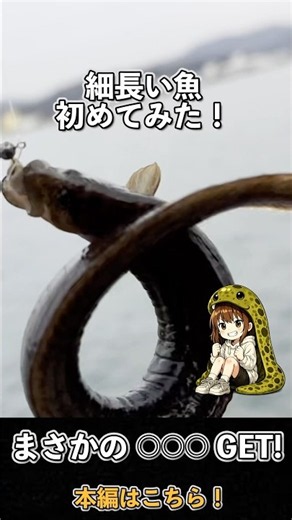 穴から化け物が...【穴釣り】 #堤防釣り #釣り #陸釣り #fishing #穴釣り