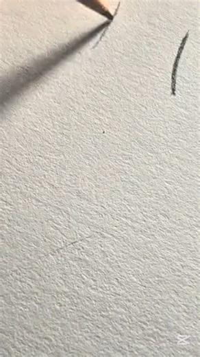 #shorts °•Tutorial de Pantalon corto•°💖👖 #drawing #suscribete