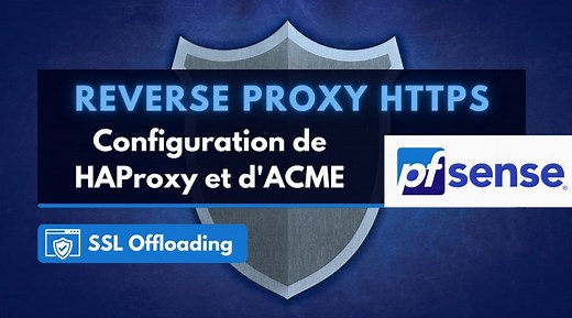 PfSense : reverse proxy HTTPS avec HAProxy et ACME (Let’s Encrypt) | IT-Connect