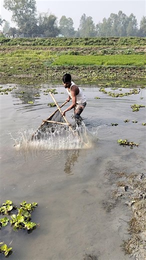 Hidden Fishing Techniques Using Water Hyacinth