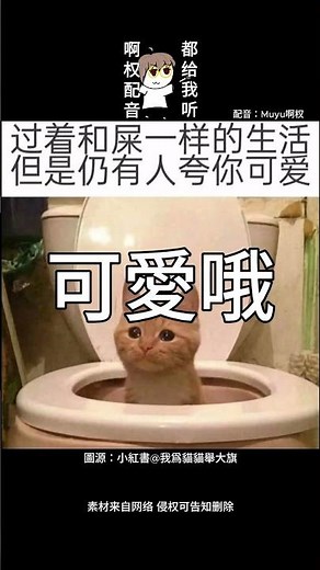 【啊木又今天也很可愛配音】這麼可愛真抱歉呢