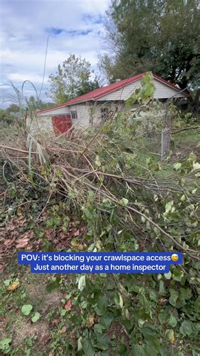 A clear crawl space means a clear report. ✅ Don’t let nature block your inspection! #crawlspace #homeinspector #homeinspection #kentuckyrealestate | H2H Inspectors - Lexington KY Home Inspections