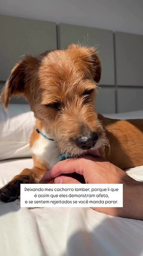 Quem é Jimmy Dimy? Descubra a Verdade Aqui! 🤔