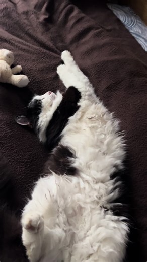 oreo (@oreo_b_w)’s videos with Mission Impossible - Adam Clayton