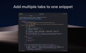 Snippetslab Windows