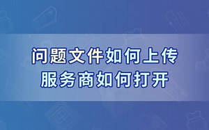线上版用户问题文件如何上传，服务商如何打开