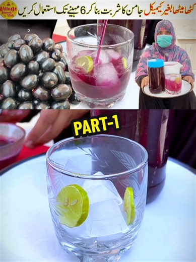 Black Plum (Jamun) Juice Recipe — Make & Store 6 Months