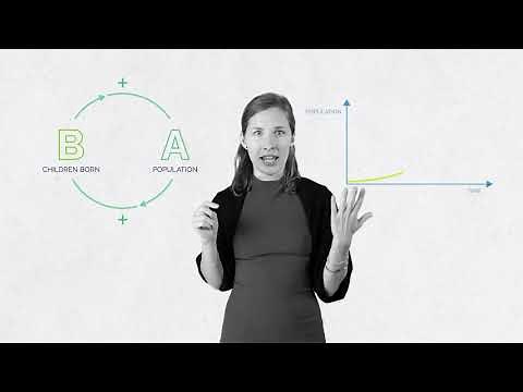 ST4FSS 6: Reinforcing Loops