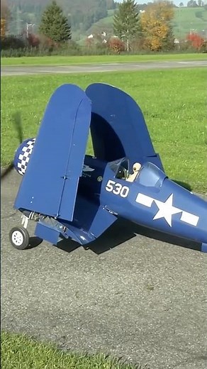 Hang On, This Massive Warbird Model Spreads its Wings!?