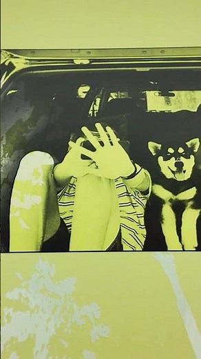 Throwing Muses new album 'Moonlight Concessions' coming soon 🔆