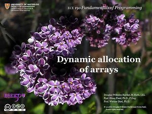 2 03 Dynamic allocation of arrays