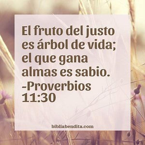 Explicación Proverbios 11:30. 'El fruto del justo es árbol de vida; el que gana almas es sabio.' - BibliaBendita