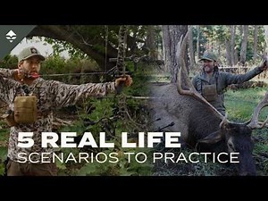 What Archery Shots to Practice for Elk Hunting | 5 Shots You Need to Practice!