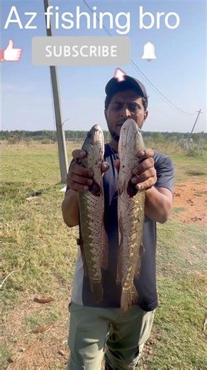 🎣 Monster Maral Fish Caught! 😱 #MaralFishing