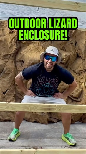 Outdoor Monitor Lizard Enclosure!🦎#quincemonitor #monitorlizard #lizard #reptiles #diy #tutorial