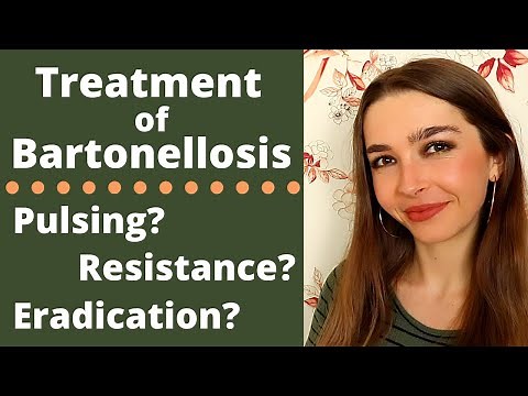 Bartonellosis Treatment FAQs | Rifampin Resistance? Complete Eradication? Pulsing Antibiotics?
