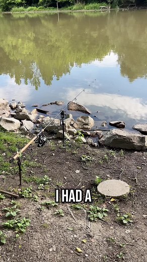 ig: _attila_fishing_ 🐟🎣#fishing #carp #carpfishing #carpfishinglife #carpfishingvideos #fishingtiktoks #fishinglife #foruyou #boilies #wildfishing #fisherman #saturday