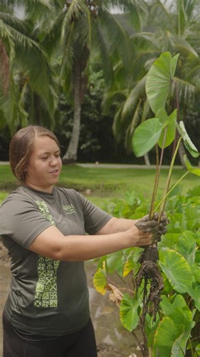 Join our host Sam Harris as she explores the vibrant Hawaiian community, where traditions, culture, and a warm sense of belonging create an enriching experience for every visitor to the islands. 🏝️ With traditions passed down through generations, Hawaiians have cultivated a strong sense of belonging and harmony. 🌺 #VisitHawaii - 🎥 Sam Harris/@sam_harris 🔗 • Discover more at https://bit.ly/3tdNAM7 | Hawaii – gohawaii.com