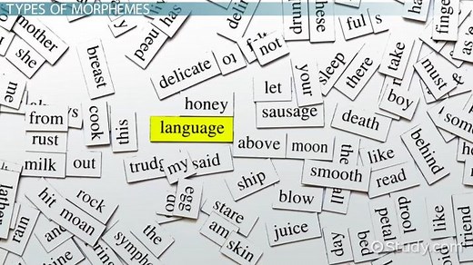 Morpheme Overview, Types & Examples