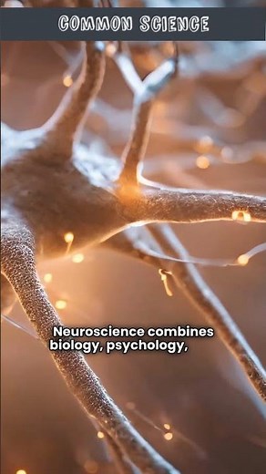 Neuroscience Introduction | What is Neuroscience? | Neuroscience Definition | Neuroscience Explained