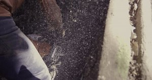 Amazon Rainforest Logger Takes Chainsaw Tree Stock Footage Video (100% Royalty-free) 1106554553 | Shutterstock