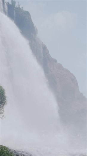 TCT Network on Reels