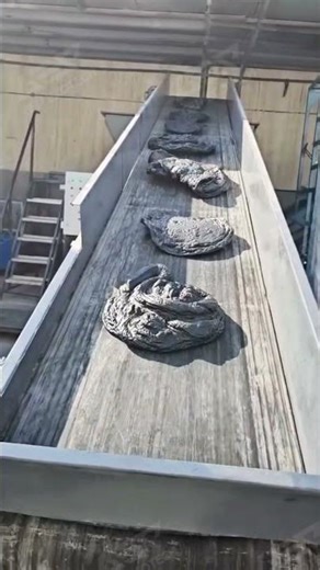 Lumps Shredding | Industrial Shredder Turning Large Lumps into Uniform Particles