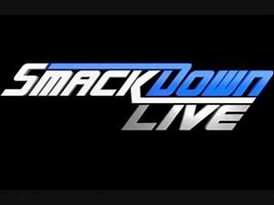 WWE SmackDown Live - Take A Chance Extended NEW theme