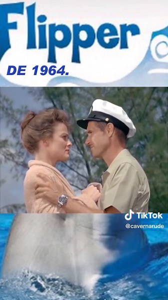 Flipper: Aventura e Nostalgia da Série de 1964