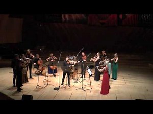 G.Ph. Telemann - Viola Concerto in G major - 2. Allegro