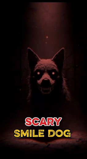 Smile Dog | The Cursed Image That Haunts Your Dreams
