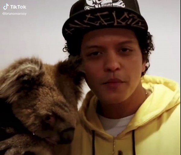 Bruno Mars Australia Shows: Don't Miss Out! 🎶