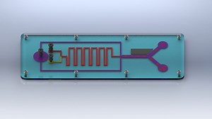 CFD Analysis of a magnetic based CTC separation