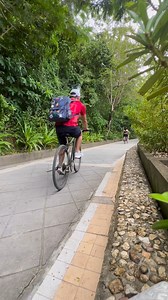 Nothing more peaceful than a bike ride around the island. Enjoy a breath of fresh air when you book your stay here with us. Visit our website at https://www.sunlighthotelsandresorts.com/setir to know more about us. 📸@roannamarie | Sunlight Ecotourism Island Resort