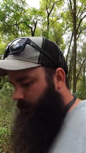 20K views · 621 reactions | Finding Human remains in an overgrown cemetery | Lawn Care Juggernaut | Facebook