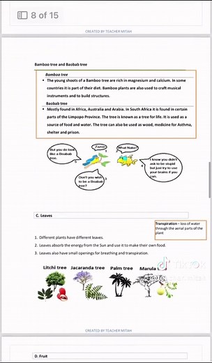 Grade 4 NS Term 1 Notes and Worksheets Available