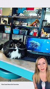 Truffles isn’t just a cat in glasses – she’s a full-time confidence booster. 😎🐈‍⬛ When she was adopted by Danielle, who works at a children’s optical shop, Truffles quickly became the store’s unofficial greeter. What started as a fun trick with tiny, lens-free frames turned into a daily routine. Truffles not only loved wearing her glasses, she often asked for them. Now she helps kids feel comfortable trying on their own pairs, showing them that glasses can be fun, friendly, and even stylish. A