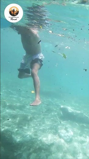 Snorkeling in the crystal-clear waters of Ginnie Springs, Florida 🌊