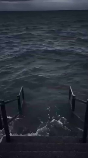 Look at the face of this cake #funny #funnyvideos #foryou #fyp #meme