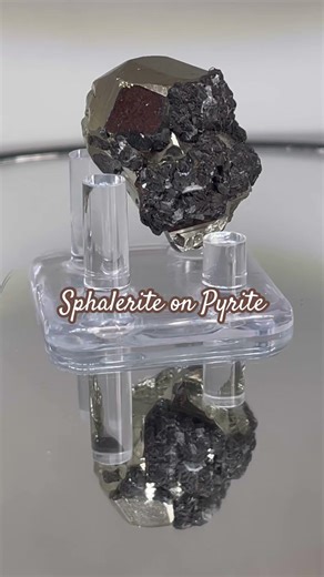 Sphalerite on Pyrite #minerals #foolsgold #crystals
