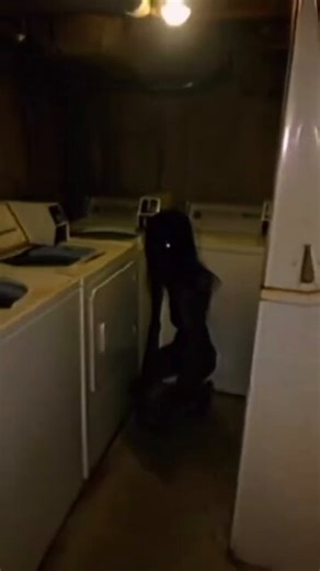 Probably fuck the shit out of it