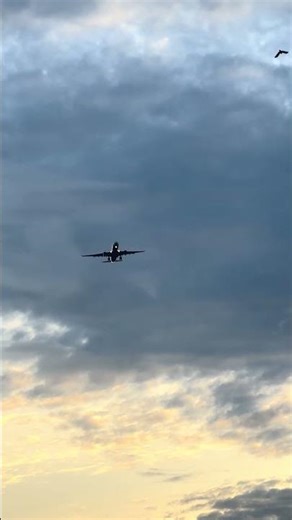 Air Asia A330 Airbus from Tokyo approach to Don Mueang , Bangkok #airbusa330 #airasia