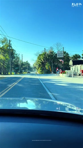 Trip to Homosassa, Florida. #homosassa #florida #travel