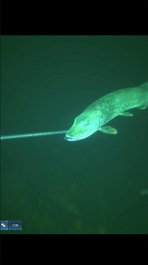 Ultimate Fishing Simulator 2 #shorts