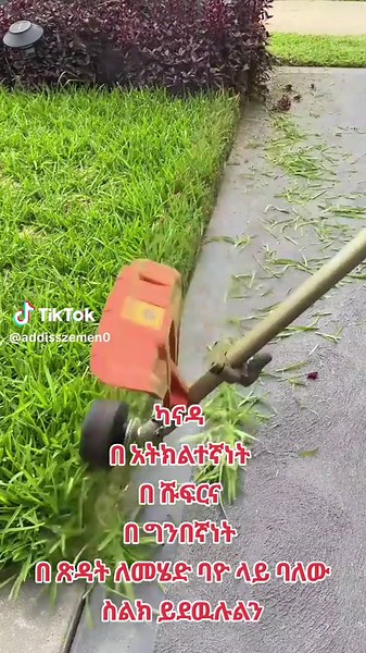 09 10 02 38 55 09 10 02 38 55 #ethiocanada #ethiopian_tik_tok🇪🇹🇪🇹🇪🇹🇪🇹 #ethiopian_tik_tok🇪🇹🇪🇹🇪🇹🇪🇹 #mottakeranyo #mottathekeranyo #ካናዳ #CANADA #ethio