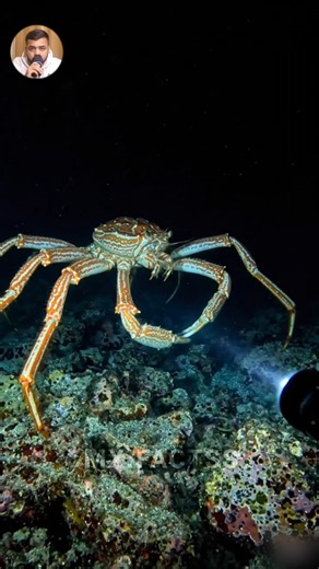 How Deep Is The Ocean Really ?