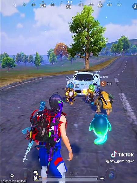 Respecting New Players in PUBG: A Community Guide